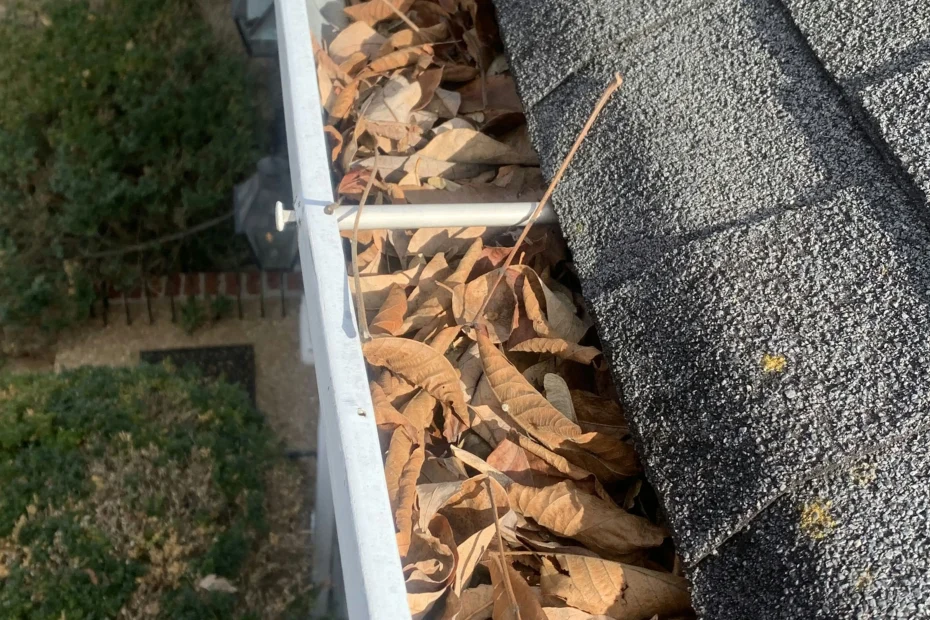 Luzerne Gutter Cleaning